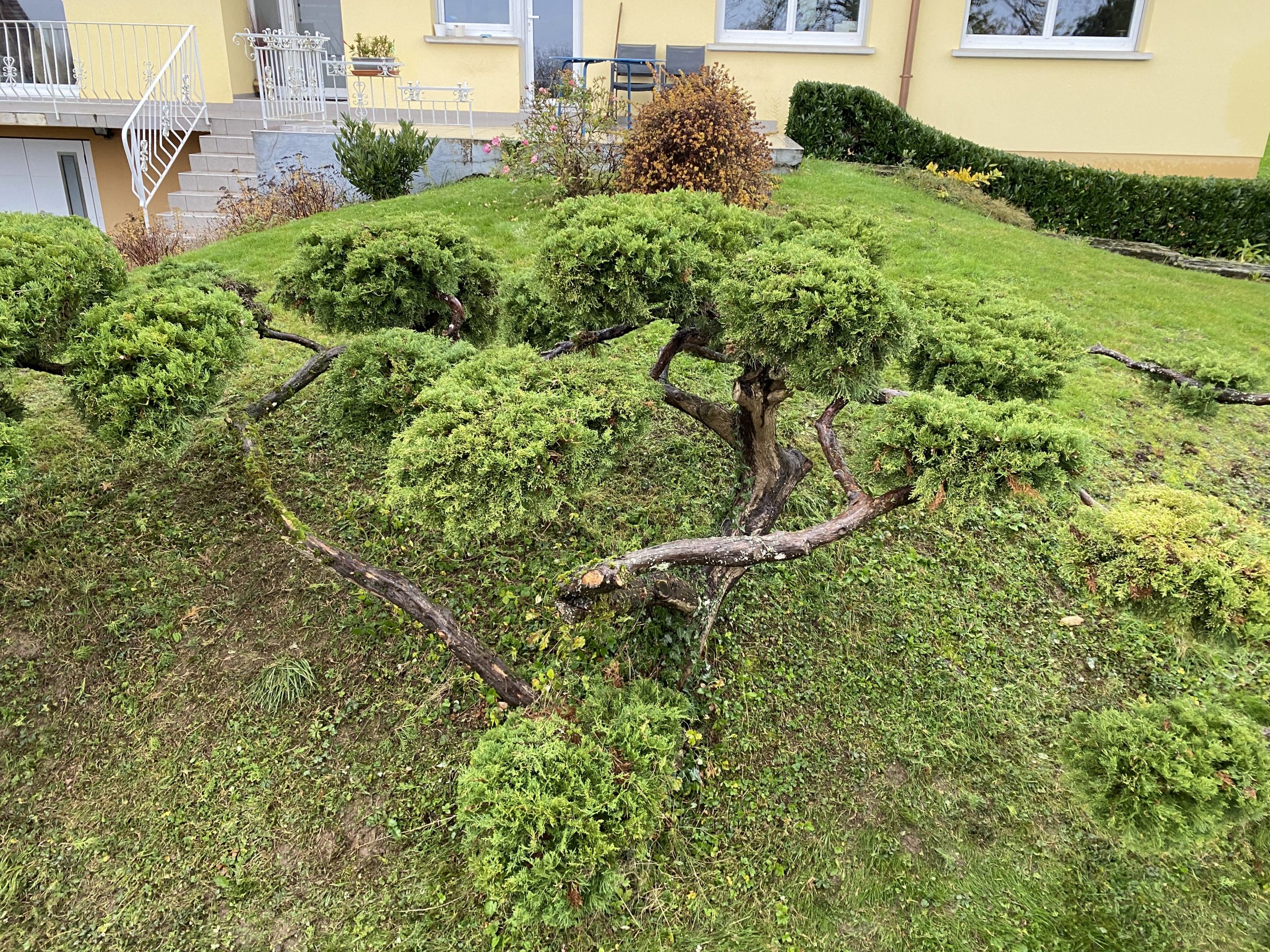 Aménagement extérieur