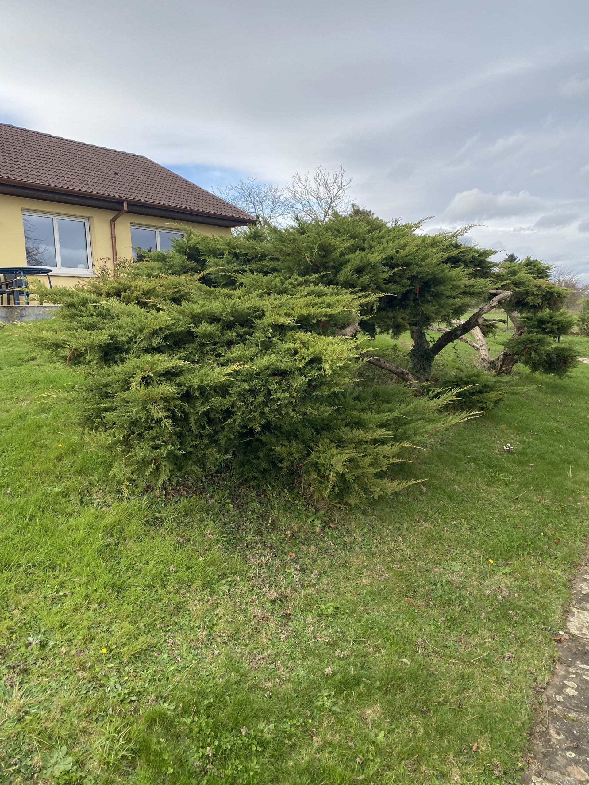 Aménagement extérieur